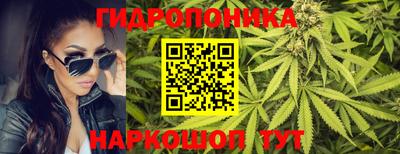 гидропоника Гатчина