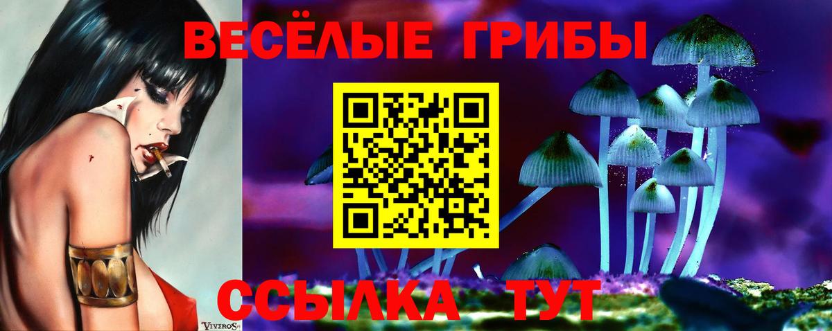 Галлюциногенные грибы MAGIC MUSHROOMS Белгород